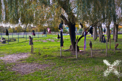 AnnoSamhain2025_Markt_83