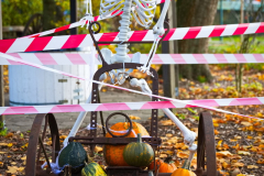 AnnoSamhain2025_Markt_89