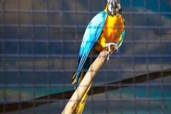 AnnoSamhain2025_Markt_90