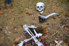 AnnoSamhain2025_Markt_91