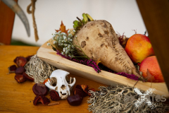 AnnoSamhain2025_Markt_95