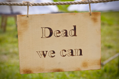 Markt_MPSBuebu22025_005