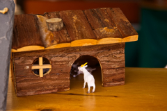 Markt_MPSBuebu22025_012