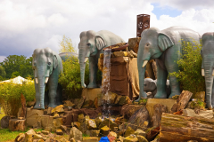 Markt_MPSBuebu22025_016