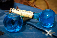 Markt_MPSBuebu22025_058