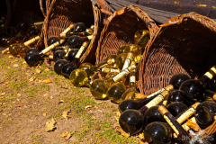 MarktSpeyer240824_0003