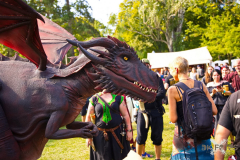 MarktSpeyer240824_0014