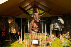 MarktSpeyer240824_0030