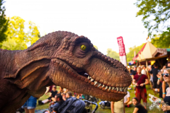 MarktSpeyer240824_0037