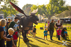 MarktSpeyer250824_0015