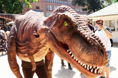 061812_54_318X0A3953