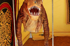 061814_22_438X0A4040