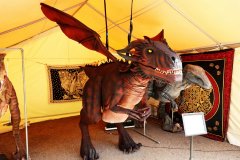 061814_22_558X0A4042