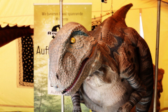 061814_23_198X0A4043