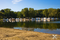 MarktSKHKoeln2024_0008