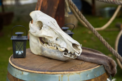 MarktSKHKoeln2024_0017