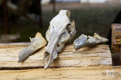 MarktSKHKoeln2024_0018