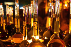 MarktSKHKoeln2024_0025