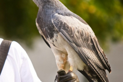 SkyhuntersSKHKoeln2024_0006