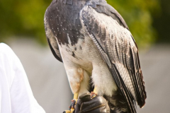 SkyhuntersSKHKoeln2024_0007