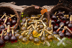 SKHKoeln2025_Markt_02