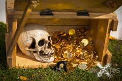 SKHKoeln2025_Markt_10