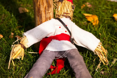 SKHKoeln2025_Markt_11