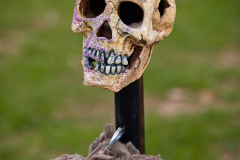 SKHKoeln2025_Markt_28