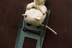 SKHKoeln2025_Markt_63