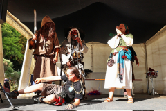 081517_41_378X0A8579