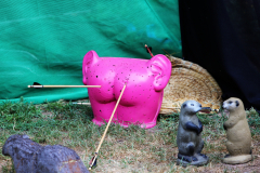 081512_05_57IMG_1223