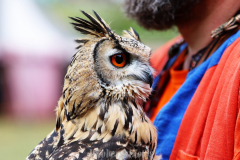 081512_53_03IMG_1225