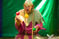 Narrenkai_MPSSpeyer2025_005