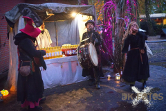 AnnoSamhain2025_Rabenzauber_04
