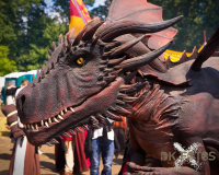 Rapto Rex | MPS Bückeburg 2 | 2025