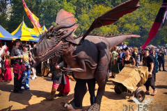 RaptoRex_MPSBuebu22025_002