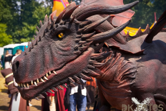 RaptoRex_MPSBuebu22025_003