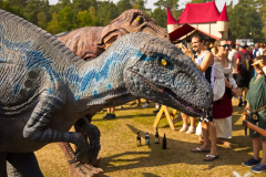 RaptoRexMPSLuhmuehlen2024_0010