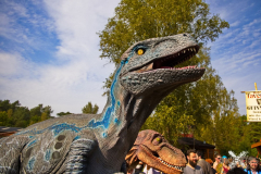 RaptoRexMPSLuhmuehlen2024_0012