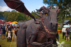 RaptoRex_MPSLuhmuehlen2025_004