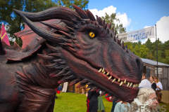 RaptoRex_MPSLuhmuehlen2025_005