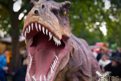 Raptorex_MPSSpeyer2025_009