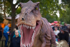 Raptorex_MPSSpeyer2025_010