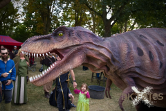 Raptorex_MPSSpeyer2025_011