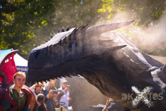 Raptorex_MPSSpeyer2025_013