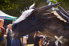 Raptorex_MPSSpeyer2025_014