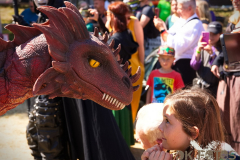 Raptorex_MPSSpeyer2025_017