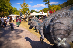 Raptorex_MPSSpeyer2025_019