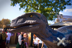 Raptorex_MPSSpeyer2025_020