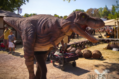 Raptorex_MPSSpeyer2025_023